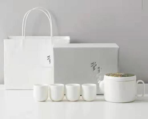 8F NS茶咖两用壶 商品图0