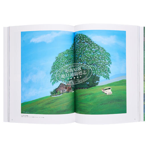 【中商原版】原田泰治 在野外小路散步的画家 新版 进口艺术 原田泰治 野の道を歩く画家 別冊太陽編集部 平凡社 日文原版 商品图5