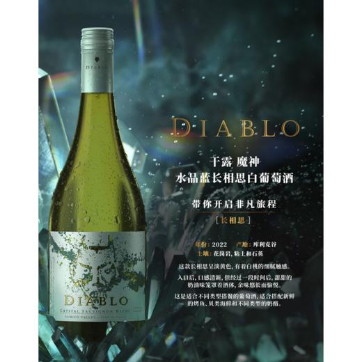 智利原瓶进口红酒 红魔鬼魔神系列 炫紫红葡萄酒/水晶蓝长相思白葡萄酒 商品图6