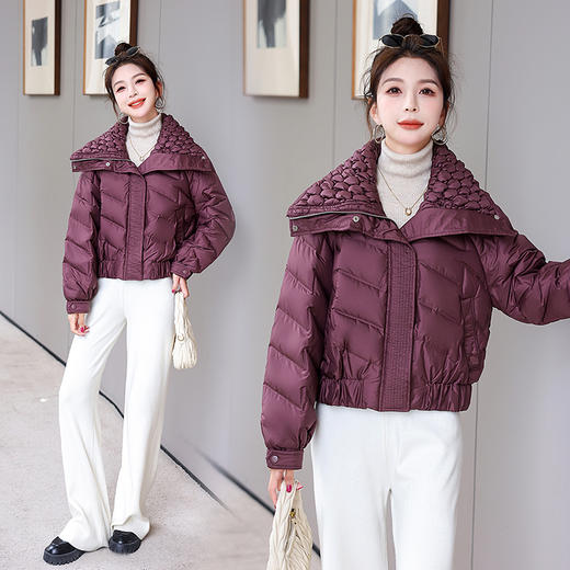 冬季新款，时尚气质显瘦大翻领时髦个性设计90白鸭绒羽绒服HR-HBLJRD160 商品图4