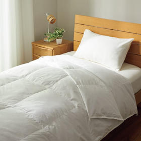 冬季保暖被芯春秋被加厚被子羽绒子母被 NT2 n 白色