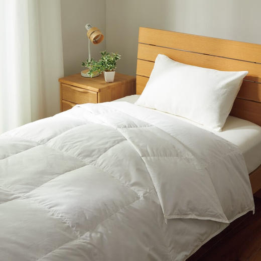 冬季保暖被芯春秋被加厚被子羽绒子母被 NT2 n 白色 商品图0