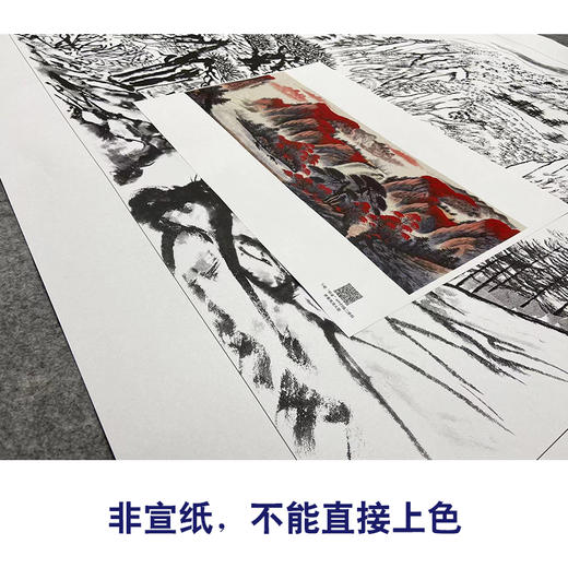 【大彩图】横幅工笔画白描底稿《鸿运当头》临摹勾线山水底稿FS08 商品图2