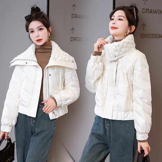 冬季新款，时尚气质显瘦大翻领时髦个性设计90白鸭绒羽绒服HR-HBLJRD160 商品图5