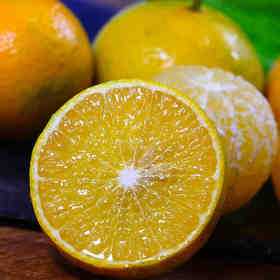 皇帝柑，清甜多汁，好吃不上火，为干燥的秋冬季补个水~