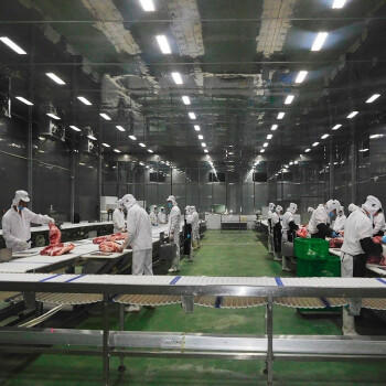 京东跑山猪黑猪里脊肉冷冻猪通脊炒菜肉馅食材1.2斤 商品图4