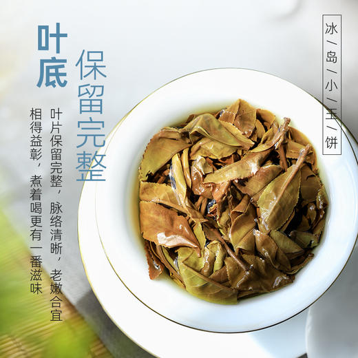 茶马世家丨冰岛地界 寿眉 云南白茶小饼 2019年原料 42g（6g*7） 商品图4