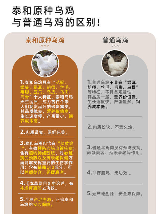 【斌哥优选】泰和原种乌鸡，能入药的鸡，清水煮都好吃. 商品图4