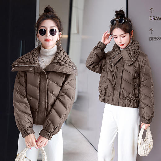 冬季新款，时尚气质显瘦大翻领时髦个性设计90白鸭绒羽绒服HR-HBLJRD160 商品图6