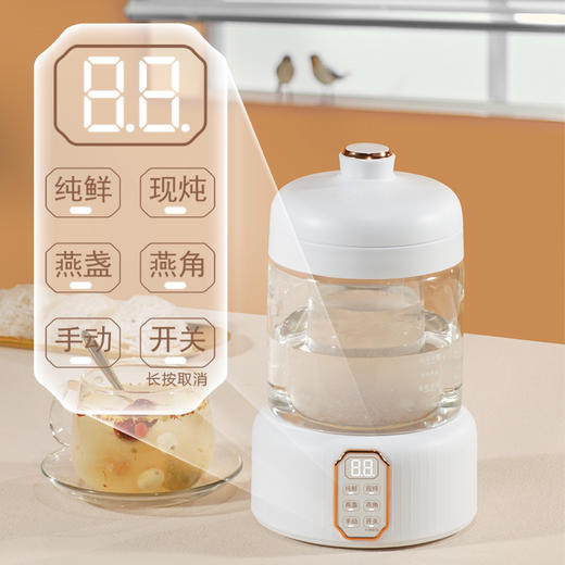 2023专业燕窝隔水电炖盅 商品图1