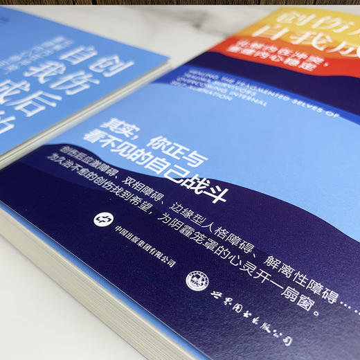 创伤后的自我成长 化解内在冲突,重建内心稳定 商品图1