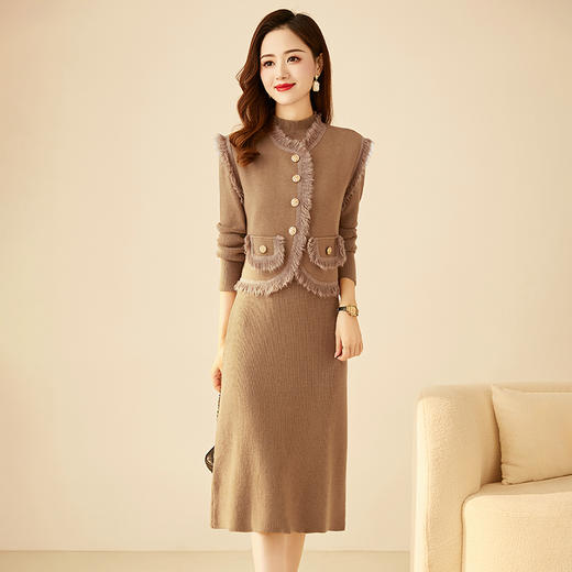 秋冬新款，时尚毛须洋气小香风双口袋马甲两件套连衣裙HR-YBER355 商品图3