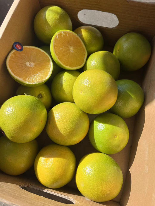 树上熟的爆汁橙来自高山【云南橙悦冰糖橙】橙意满满，重磅来袭！徒手就可以剥开的橙子，汁水多到爆，每一口都像在喝果汁，果肉细嫩、化渣感好，用手随便一捏，就能轻松出汁，出汁率高达95%以上！特级果，5斤 商品图2