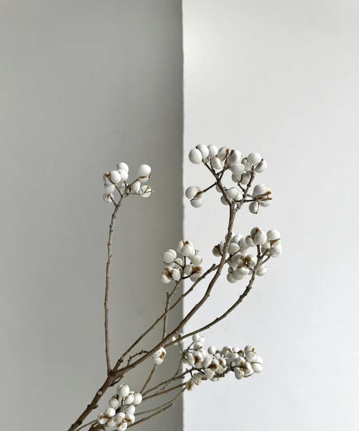 【静静的等候】乌桕果  白色  若干枝/扎 （干花）（圣诞叶材） 商品图2