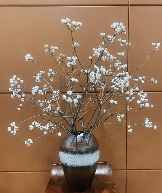 【静静的等候】乌桕果  白色  若干枝/扎 （干花）（圣诞叶材） 商品图1