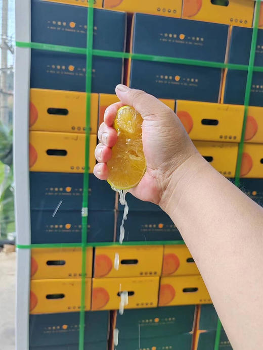 树上熟的爆汁橙来自高山【云南橙悦冰糖橙】橙意满满，重磅来袭！徒手就可以剥开的橙子，汁水多到爆，每一口都像在喝果汁，果肉细嫩、化渣感好，用手随便一捏，就能轻松出汁，出汁率高达95%以上！特级果，5斤 商品图0