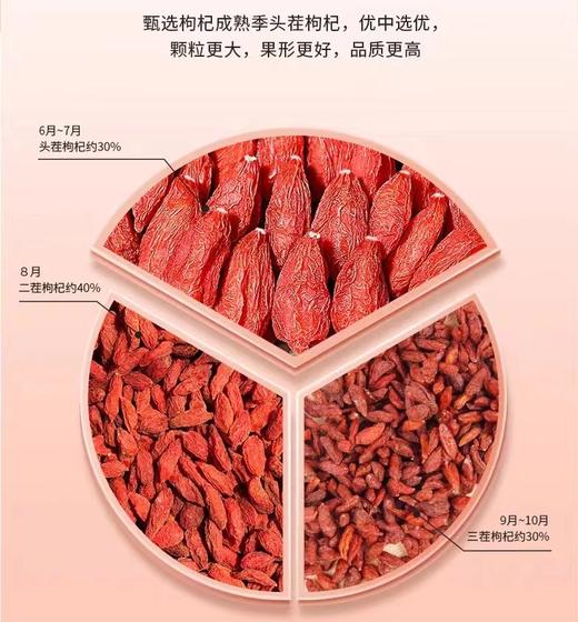 宁夏头茬特级大枸杞 商品图1