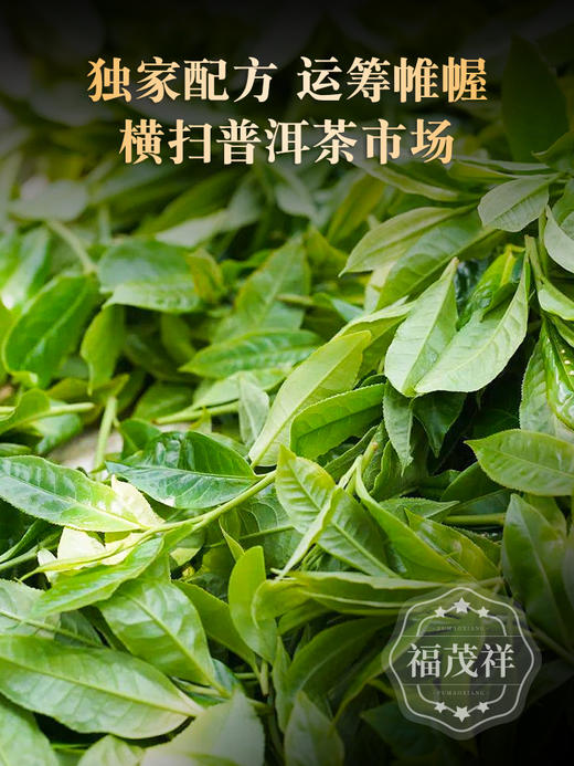 【七星霸王青饼】PK市面霸王青饼 茶中霸王 名副其实！2018+2020年勐海茶区古600年生茶357g*5饼 商品图1