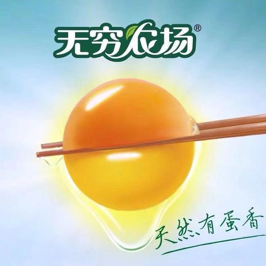 无穷盐焗鸡蛋  30g*20（蛋糕券价） 商品图4