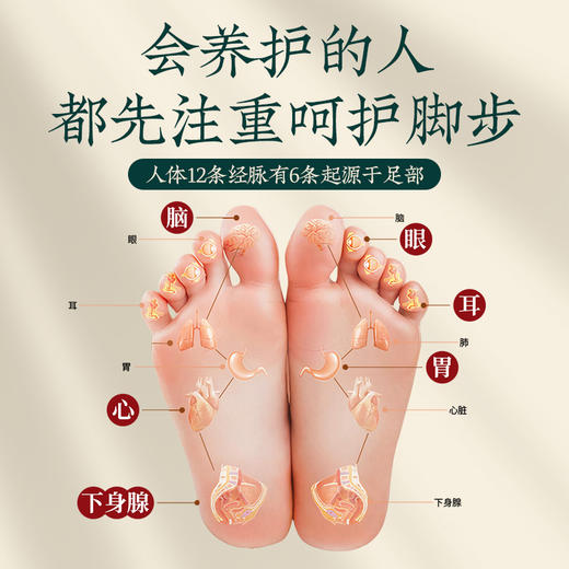 【下单赠送泡脚桶】本草足浴包 草本破壁技术10秒出汤 免煮易吸收 驱寒祛湿 共120包 商品图2