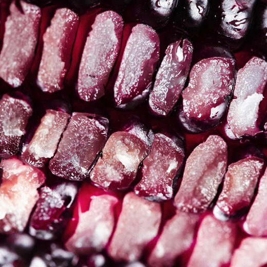 新疆双色有机糯玉米 严格有机认证 双色鲜食玉米【青辰谷谷】 商品图5