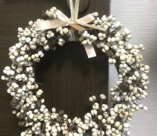 【静静的等候】乌桕果  白色  若干枝/扎 （干花）（圣诞叶材） 商品图3