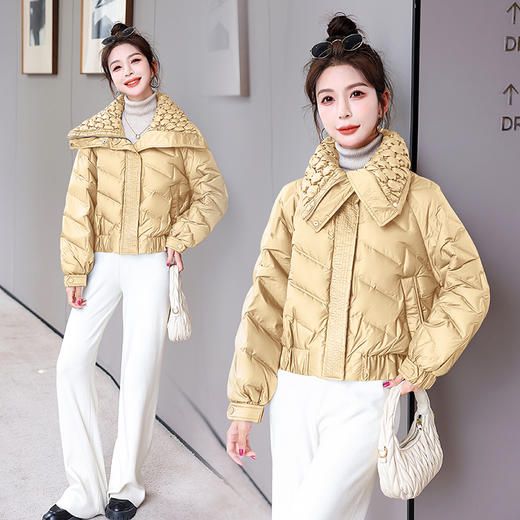 冬季新款，时尚气质显瘦大翻领时髦个性设计90白鸭绒羽绒服HR-HBLJRD160 商品图9