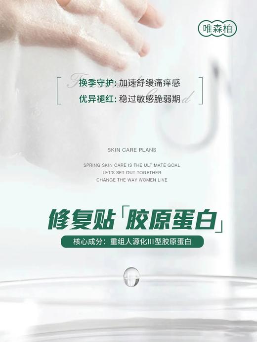 唯森柏 医用重组Ⅲ型人源化胶原蛋白敷料 商品图5