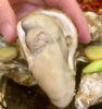 乳山生蚝 | 百“蛎”挑一，无论从饱满度、新鲜度或者口感，都称得上国内数一数二的品种。 商品缩略图8