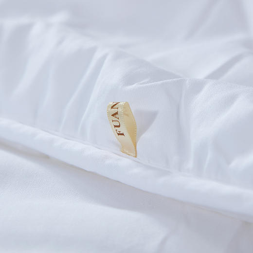 富安娜 聚保暖冬厚被 203*229cm(2000g) 商品图4