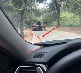 汽车前挡玻璃上的小黑点和黑边是啥？