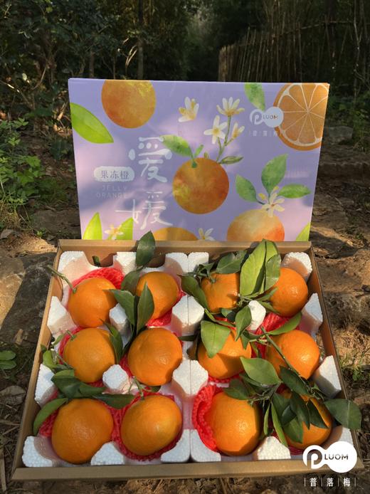 双11丨8斤加赠1斤！挂在枝头的天然果冻！【四川·爱媛果冻橙】非橙非橘 似橙似橘 皮薄如纸 细嫩无渣 酸酸甜甜 入口即化 商品图5
