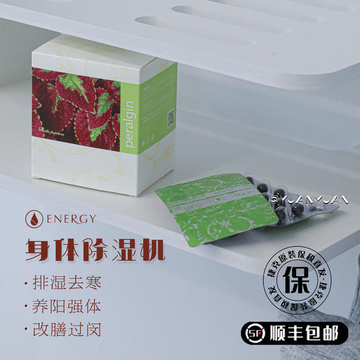 祛湿气/排湿/抗过敏都是它！针对湿疹/荨麻疹/鼻炎等等！捷克energy安能聚紫苏胶囊冬虫夏草去湿气寒气亢过闵改膳体质120粒 商品图0