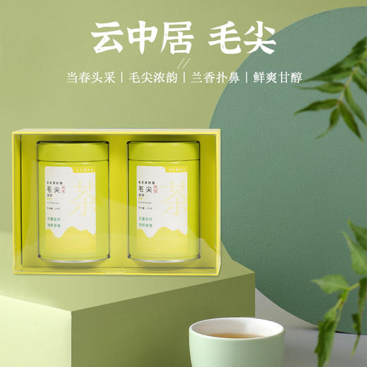 云中居云醉系列特级毛尖茶礼盒装250g（125g×2） 商品图0