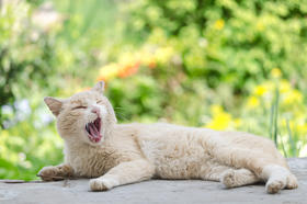 秋季“困”局怎么破？湿气排排更轻松！