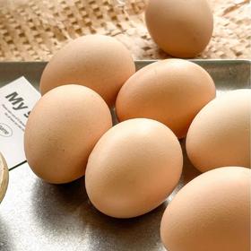 【京东/顺丰】健康营养早餐鲜鸡蛋 | 安徽九华山天然高山散养鸡 土鸡蛋/绿壳乌鸡蛋 60枚/50枚装