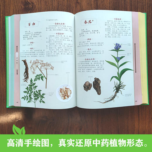 神农本草经图典 商品图3