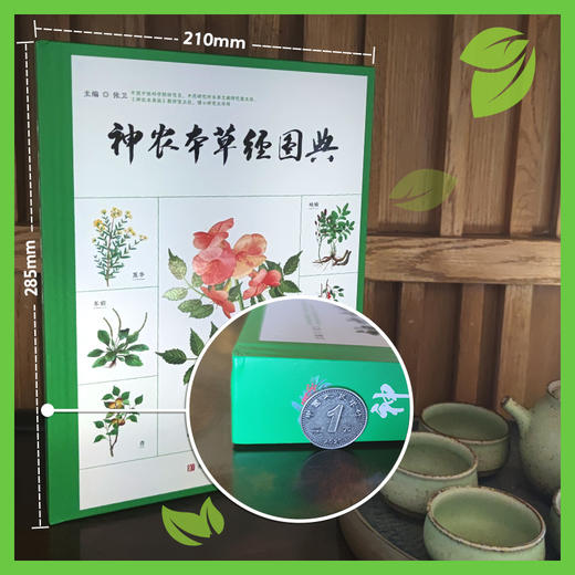 神农本草经图典 商品图4