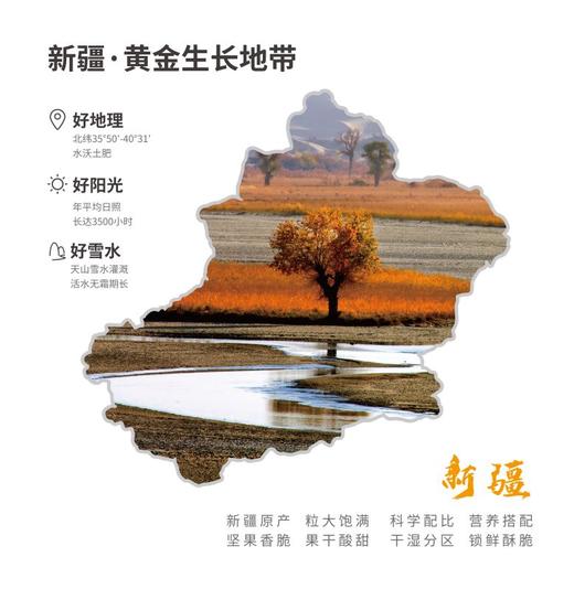 域见疆莱新疆每日坚果·新疆礼物系列星球桶装25g*33罐  825g/桶 商品图3