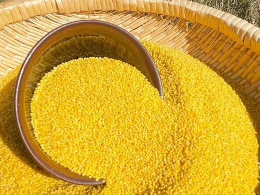 新小米｜2025年11月收 商品图1