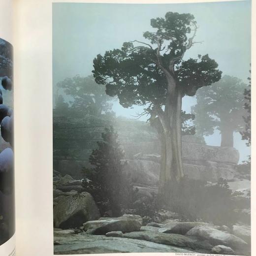 摄影生活图书馆系列：旅行摄影 数百幅插图 精装16开 商品图13