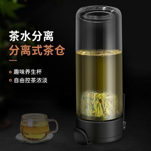 高级泡茶水杯茶水分离杯磁弹杯新款带提绳玻璃杯耐高温玻璃水杯 商品图5