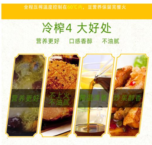 KX一级菜籽油 商品图3