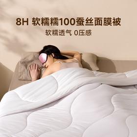 8H-CN 软糯糯100蚕丝面膜被