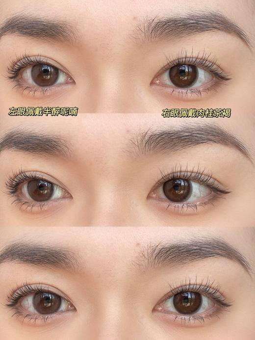 正品年抛 | Fairycon系列肉桂茶褐美瞳 | 直径14.0着色直径13.2 | 韩国产 商品图2