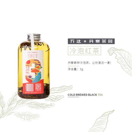 【万达丹寨茶园】冷泡茶瓶 商品图2