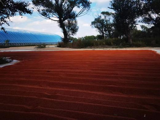 新小米｜2025年11月收 商品图8