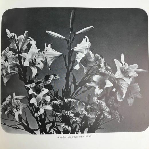 威尼斯摄影集 362幅插图 精装16开 商品图11