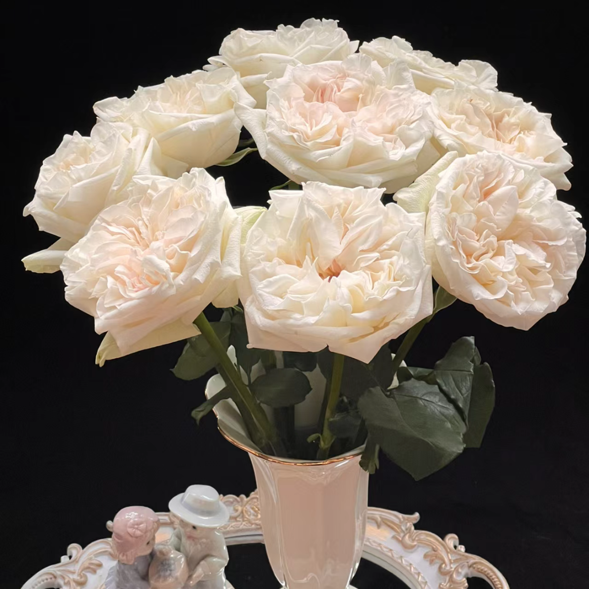 白荔枝单头玫瑰丨A级花材