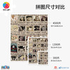 心选定制 H3423 ONE PIECE-通缉令集结 商品缩略图3